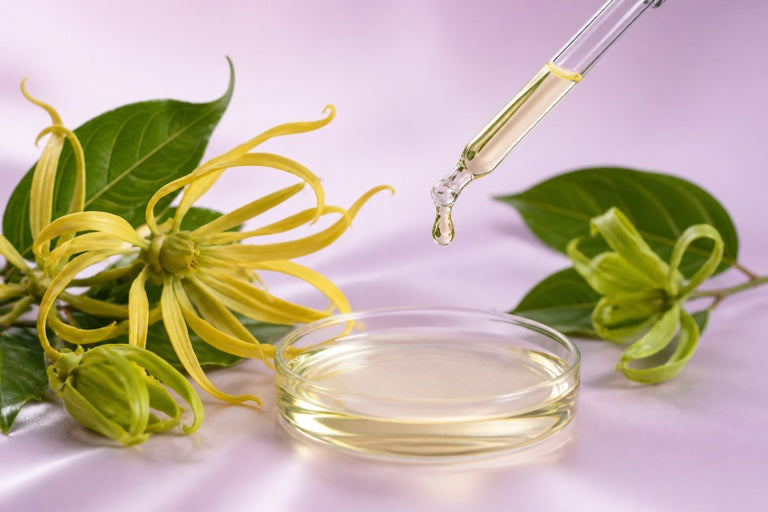 Ylang-Ylang Flower Oil (Cananga odorata flower oil)
